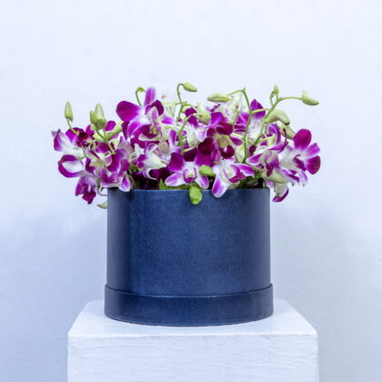 Orchid Elegance Box.