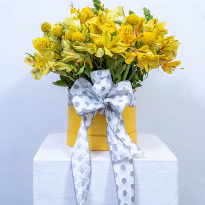Sunshine Delight Box