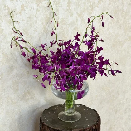 violet-orchid-cut-flowers-vase