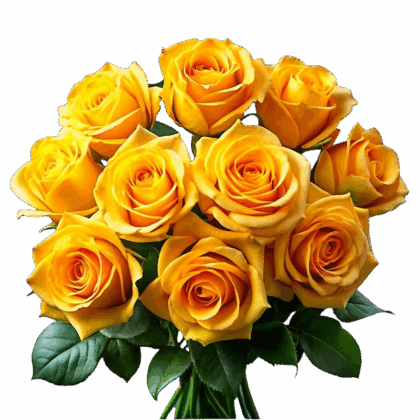 Yellow Roses