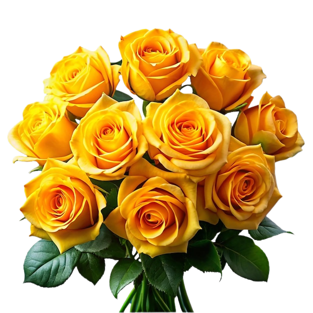 Yellow Roses